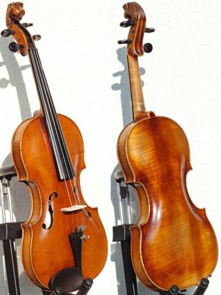 Fine Antique Violin Labelled Gio.  Maria Del Bussetto,  Cremona.  Gorgeous Tone photo