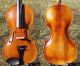 Fine Antique Violin Labelled Gio.  Maria Del Bussetto,  Cremona.  Gorgeous Tone String photo 1