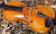 Fine Antique Violin Labelled Gio.  Maria Del Bussetto,  Cremona.  Gorgeous Tone String photo 6