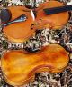 Fine Antique Violin Labelled Gio.  Maria Del Bussetto,  Cremona.  Gorgeous Tone String photo 8