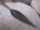 Antique African Iron Spear Head Possibly Sumburu Or Maasai In Origin - Arrow Other African Antiques photo 7