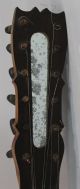 Antique Circa 1800 Finely Inlaid Snakes 12 - String,  Baroque Guitar & Case String photo 2
