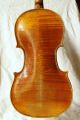 Antique Italian Labeled Violin A.  Skaliari 1736 String photo 2