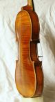 Antique Italian Labeled Violin A.  Skaliari 1736 String photo 3