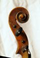 Antique Italian Labeled Violin A.  Skaliari 1736 String photo 7