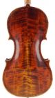 Rare,  Antique Paolo Maggini Italian 4/4 Old Master Violin - Geige,  小提琴 String photo 2