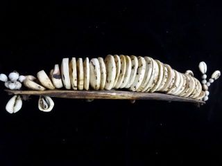 Tribal Lumi Money Currency Stick Dowry Conus Shell Asmat Papua Collectable Art photo