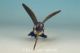Chinese Old Cloisonne Handmade Painting Humming Bird Statue Noble Gift Other Antique Chinese Statues photo 2
