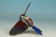 Chinese Old Cloisonne Handmade Painting Humming Bird Statue Noble Gift Other Antique Chinese Statues photo 4