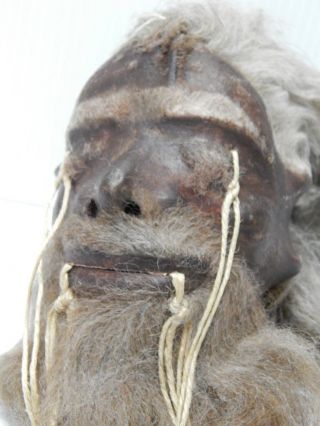 Museum Quality Looks Real Shrunken Head Tsantsa Jivaro Oddity Sideshow Taxidermy photo