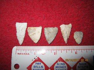 6 Assorted Materials Triangular Arrowheads (ne End Of Mud Lake,  Wisconsin) photo