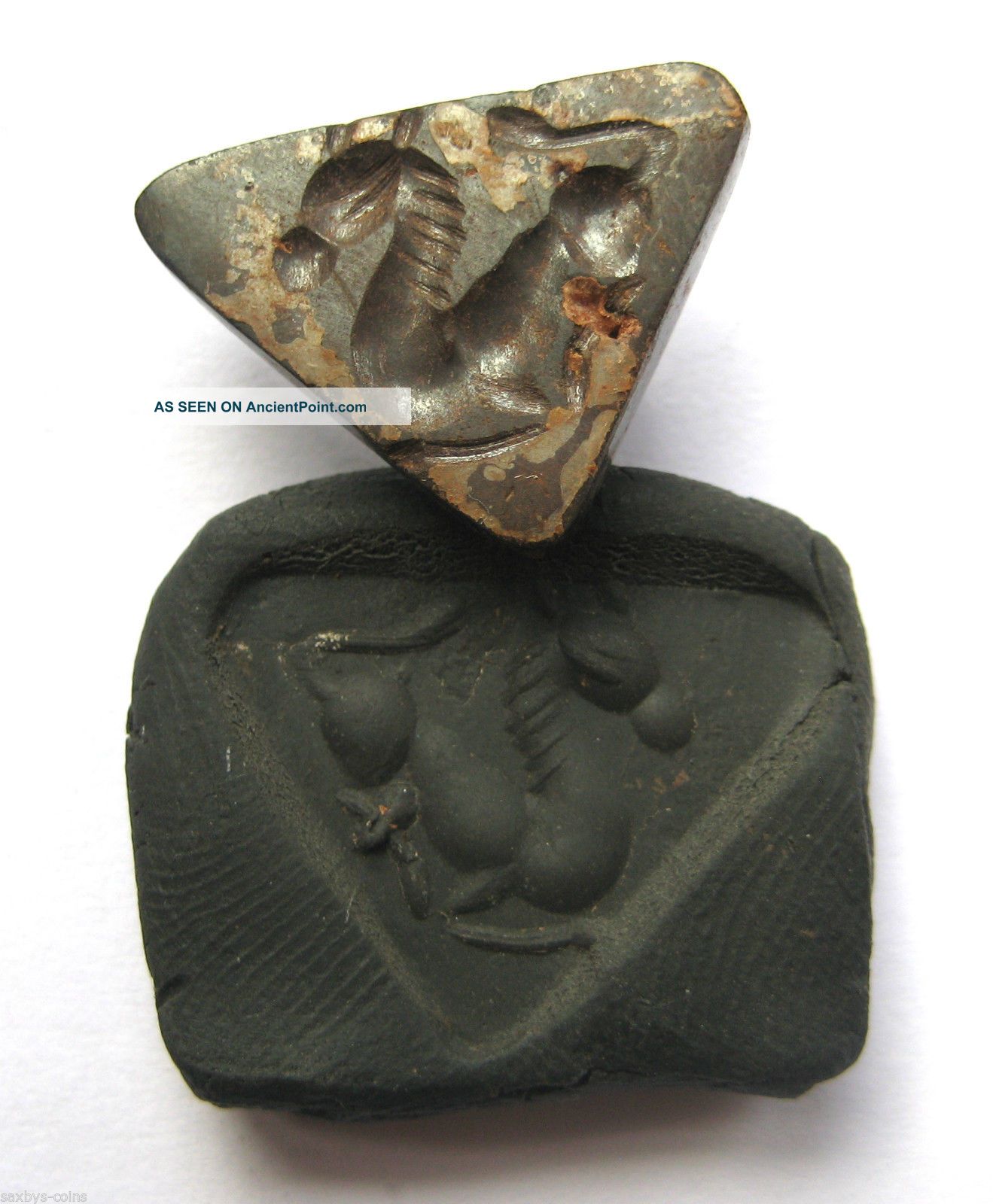 Circa.  400 A.  D Sassanian Empire Zoomorphic Pirite Seal Matrix - Horse Detail Near Eastern photo