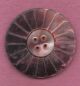 Daisy Flower Huge Smoky Pearl Coat Button Large 1 3/4 