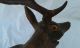 Antique Black Forest Wood Carved Roe Deer Stag Statue,  Sculpture Carved Figures photo 10