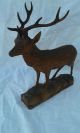Antique Black Forest Wood Carved Roe Deer Stag Statue,  Sculpture Carved Figures photo 1