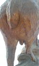 Antique Black Forest Wood Carved Roe Deer Stag Statue,  Sculpture Carved Figures photo 7