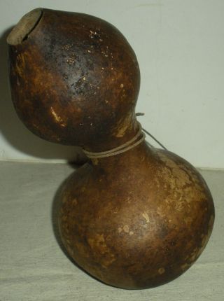 Antique C 1760–1820 Native American Indian Eastern Woodland Gourd Canteen Vafo photo