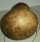 Antique C 1760–1820 Native American Indian Eastern Woodland Gourd Canteen Vafo Native American photo 3