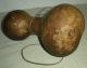 Antique C 1760–1820 Native American Indian Eastern Woodland Gourd Canteen Vafo Native American photo 4