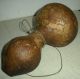Antique C 1760–1820 Native American Indian Eastern Woodland Gourd Canteen Vafo Native American photo 5