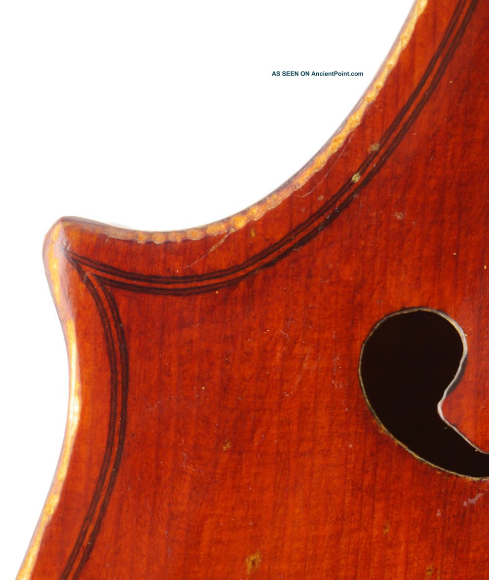 Rare - Fine,  Antique Gesualdo Averna 4/4 Old Italian Master Viola String photo