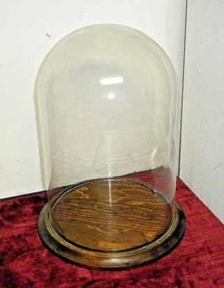 Vintage Round Glass Dome Cloche Display 12 