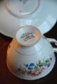 Tea Cup Saucer Royal Stafford England Vintage Porcelain Gold Gilt Cabbage Roses Cups & Saucers photo 1