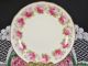 Cauldon Hand Painted Pink Ring Of Roses Tea Cup And Saucer Cups & Saucers photo 3