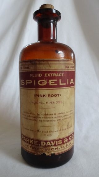 Antique Parke Davis Apothecary Homeopathy Medicine Bottle Spigelia Pink photo