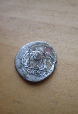Authentic Ancient 49 B.  C Roman Republic J.  Caesar Silver Denarius Elephant Coin photo
