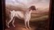 Fantastic Framed Signed Oil Painting Of A Dog / Canine In 19th Frame Primitives photo 1