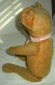 Antique C1900–1920 Loved Teddy Bear Glass Eyes & Red & White Scarf Jointed Vafo Primitives photo 3