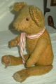 Antique C1900–1920 Loved Teddy Bear Glass Eyes & Red & White Scarf Jointed Vafo Primitives photo 4