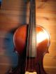 Old Antique Violin,  19th Century,  By Martin Stoss 1812 String photo 4