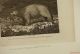 Late 1700s White Bear (polar Bear) Engraving By Grainger From Capt.  Cook Voyage Mining photo 4