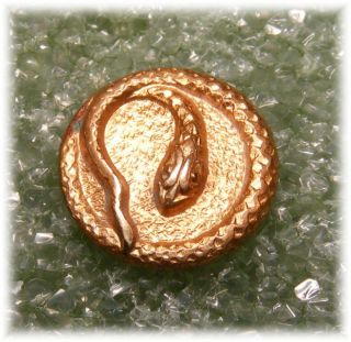 Eek Antique Golden Brass Waistcoat Button Winding Snake,  Reptile photo