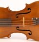 Old Italian Violin Fiorini 1925 Geige Violon Violino Violine Viola ヴァイオリン 小提琴 String photo 3