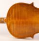 Old Italian Violin Fiorini 1925 Geige Violon Violino Violine Viola ヴァイオリン 小提琴 String photo 6