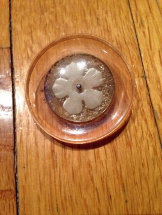 Vintage Button Lucite With Gold Glitter Center With Flower photo