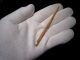 Extremely Rare Roman Period Bone Needle,  As Found, Roman photo 6