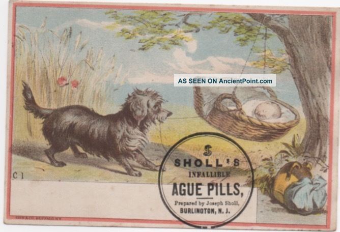 Puppy Rocks Cradle Sholl ' S Malaria Cure Quack Medicine Adv Trade Card C1880s Quack Medicine photo