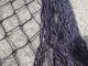 4 Feet X 8 Feet Purple Salmon Alaskan Seine Net Fishing Fish Netting (n278) Fishing Nets & Floats photo 4