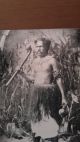 19th Century Fijian Totokia War Club Pacific Islands & Oceania photo 7