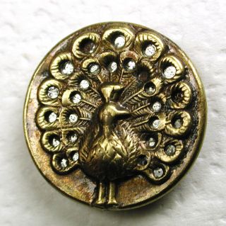 Antique Brass Button Peacock Over Cut Out Shiny Liner - 9/16 