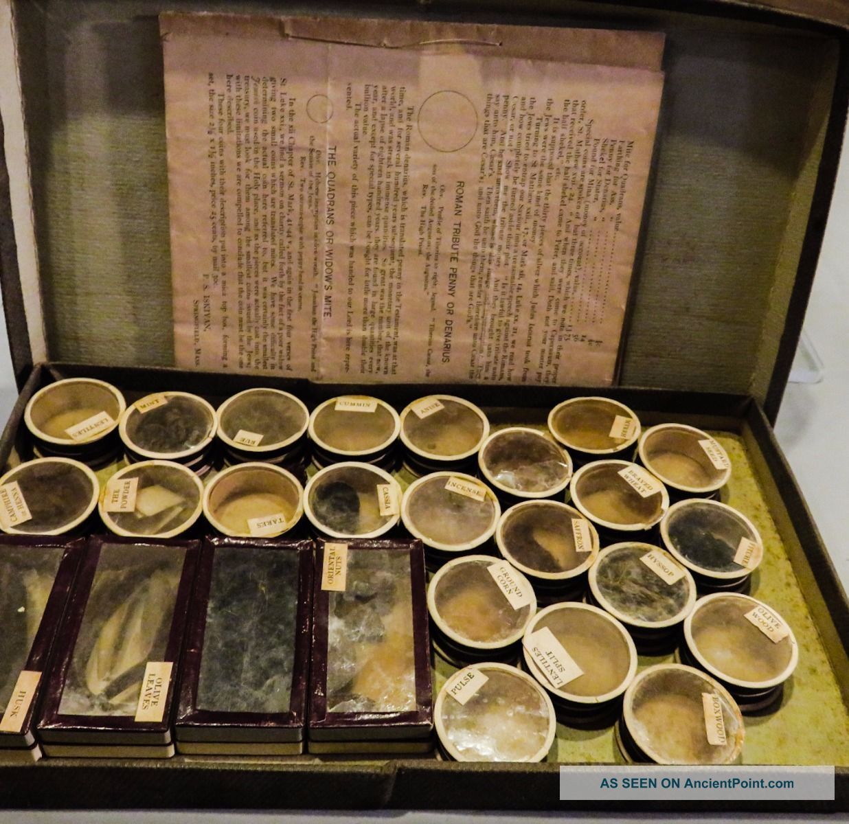 Antique 1890 Palestine Museum Cabinet Spices Seeds Powders Biblical Specimens Holy Land photo