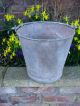 Vintage Riveted Galvanised Bucket Garden Planter (142) Garden photo 1