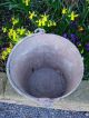Vintage Riveted Galvanised Bucket Garden Planter (142) Garden photo 2
