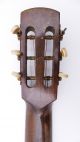 Ridi Fine Old Antique Old Parlour Parlor Vintage Acoustic Or Classical Guitar String photo 6