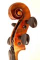 Fine 4/4 Old Master Label: Maggini Violin Old Tiger Wood 小提琴 СКРИПКА Geige String photo 2