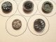 7 Sm Victorian Era Buttons Ivoroid,  Twinkle,  Perfume,  Pigeon Eye,  Piecture,  Etc. Buttons photo 1
